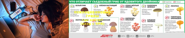 сатива Алзамай
