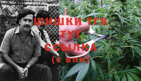 экстази Алексеевка
