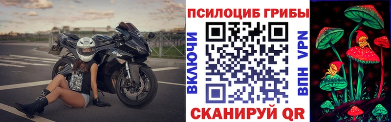 blacksprut tor купить наркоту Асино Псилоцибиновые грибы мицелий