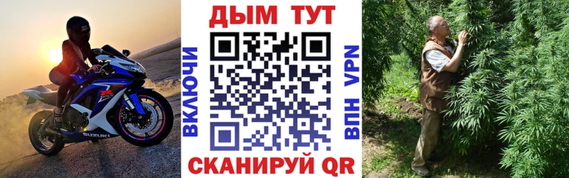 Каннабис OG Kush  Асино 